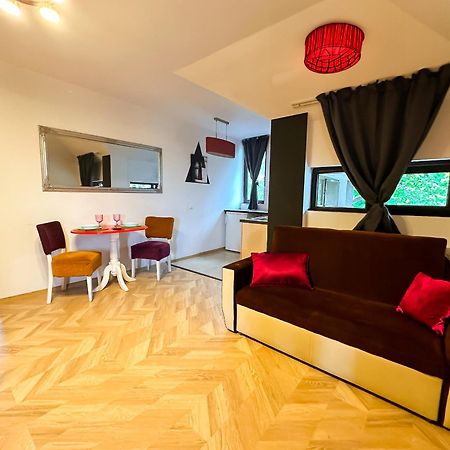 The Vintage - Wonderful Apartment In Best Location Craiova Ngoại thất bức ảnh