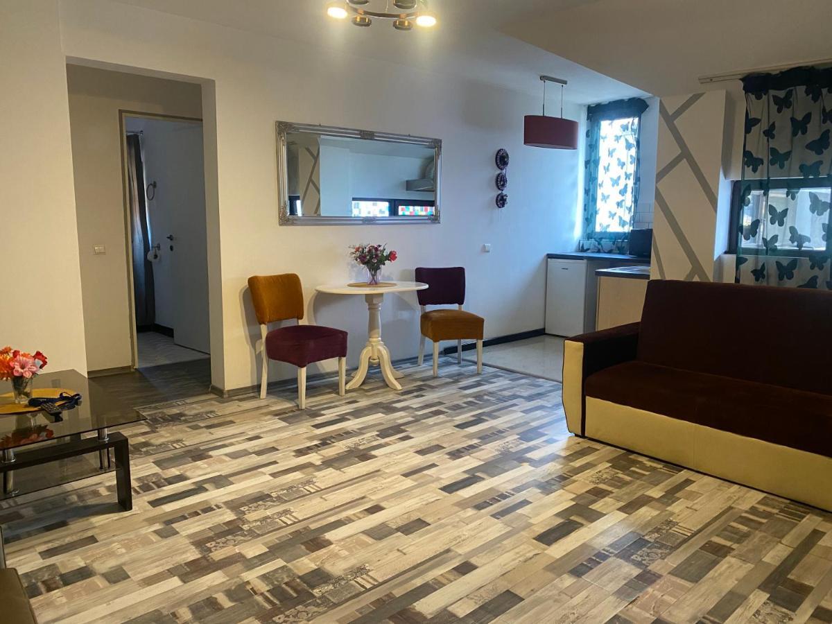 The Vintage - Wonderful Apartment In Best Location Craiova Ngoại thất bức ảnh