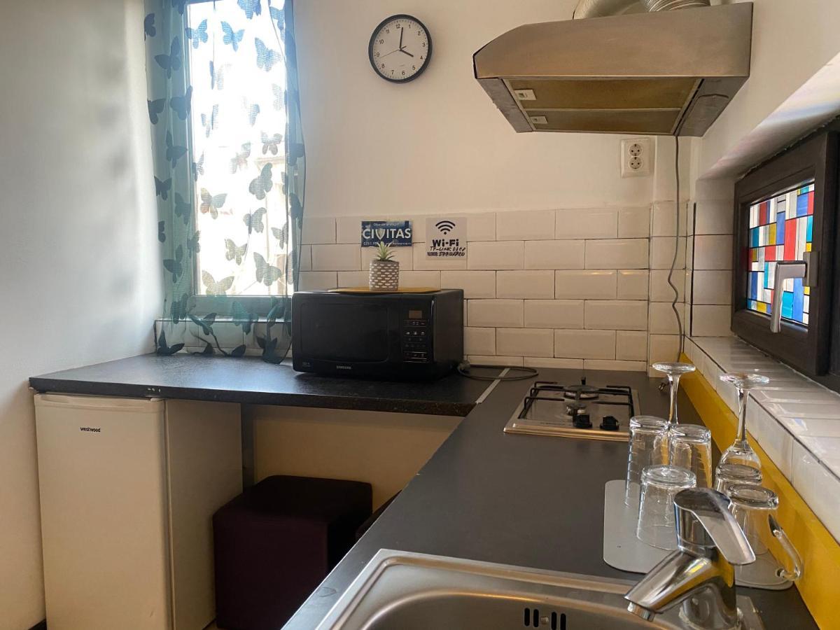 The Vintage - Wonderful Apartment In Best Location Craiova Ngoại thất bức ảnh