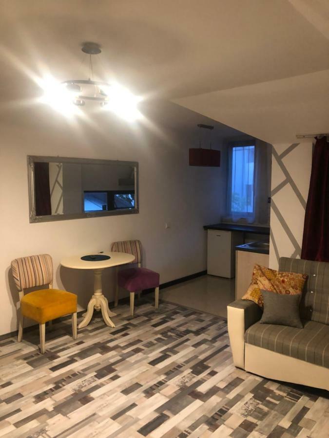 The Vintage - Wonderful Apartment In Best Location Craiova Ngoại thất bức ảnh